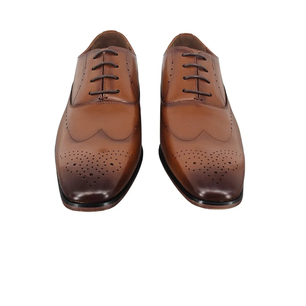 Amali rory 215